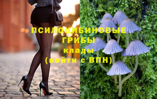 стафф Абаза