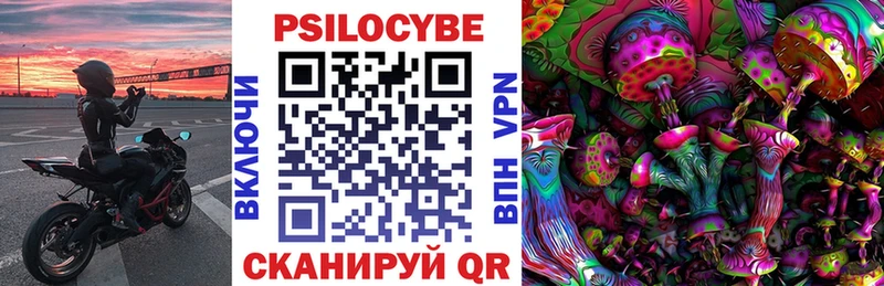 Галлюциногенные грибы Psilocybe  где можно купить наркотик  omg tor  Калач 